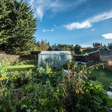 Mount Thomas Road B&B Rangiora Exteriér fotografie