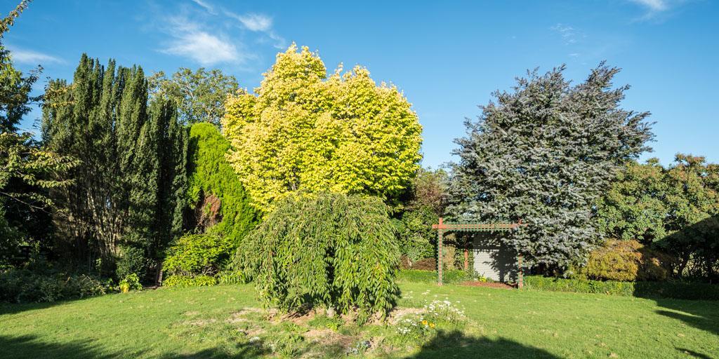 Mount Thomas Road B&B Rangiora Exteriér fotografie