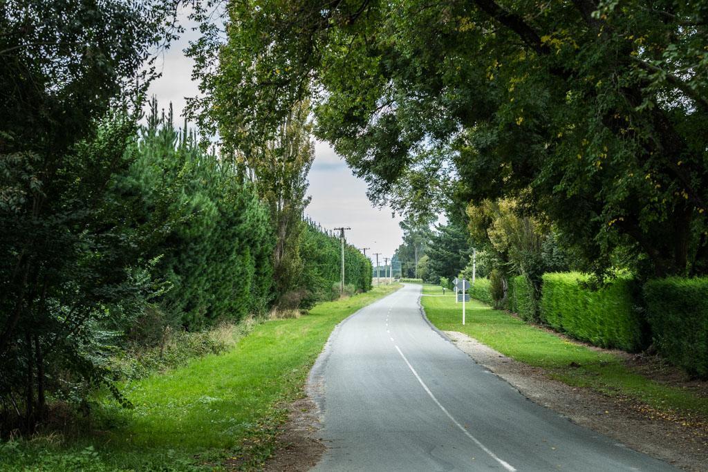 Mount Thomas Road B&B Rangiora Exteriér fotografie