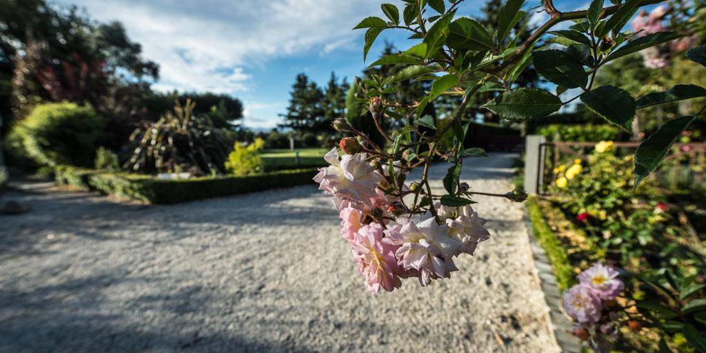 Mount Thomas Road B&B Rangiora Exteriér fotografie
